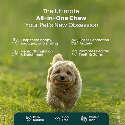 A small fluffy light-brown dog runs through green grass holding a chew toy in its mouth. Large marketing text at the top reads 'The Ultimate All-in-One Chew Your Pet's New Obsession,' with feature callouts below, and a dark teal banner at the bottom with icons for natural, odor-free, and protein-rich qualities.