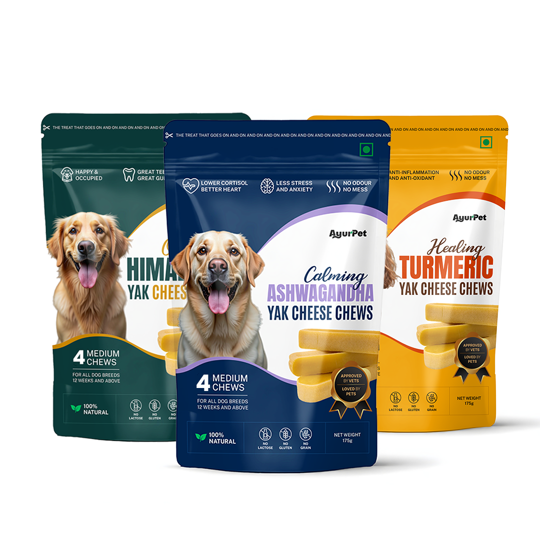 Pack of 3 | Calming Ashwagandha, Healing Turmeric, Original Himalyan